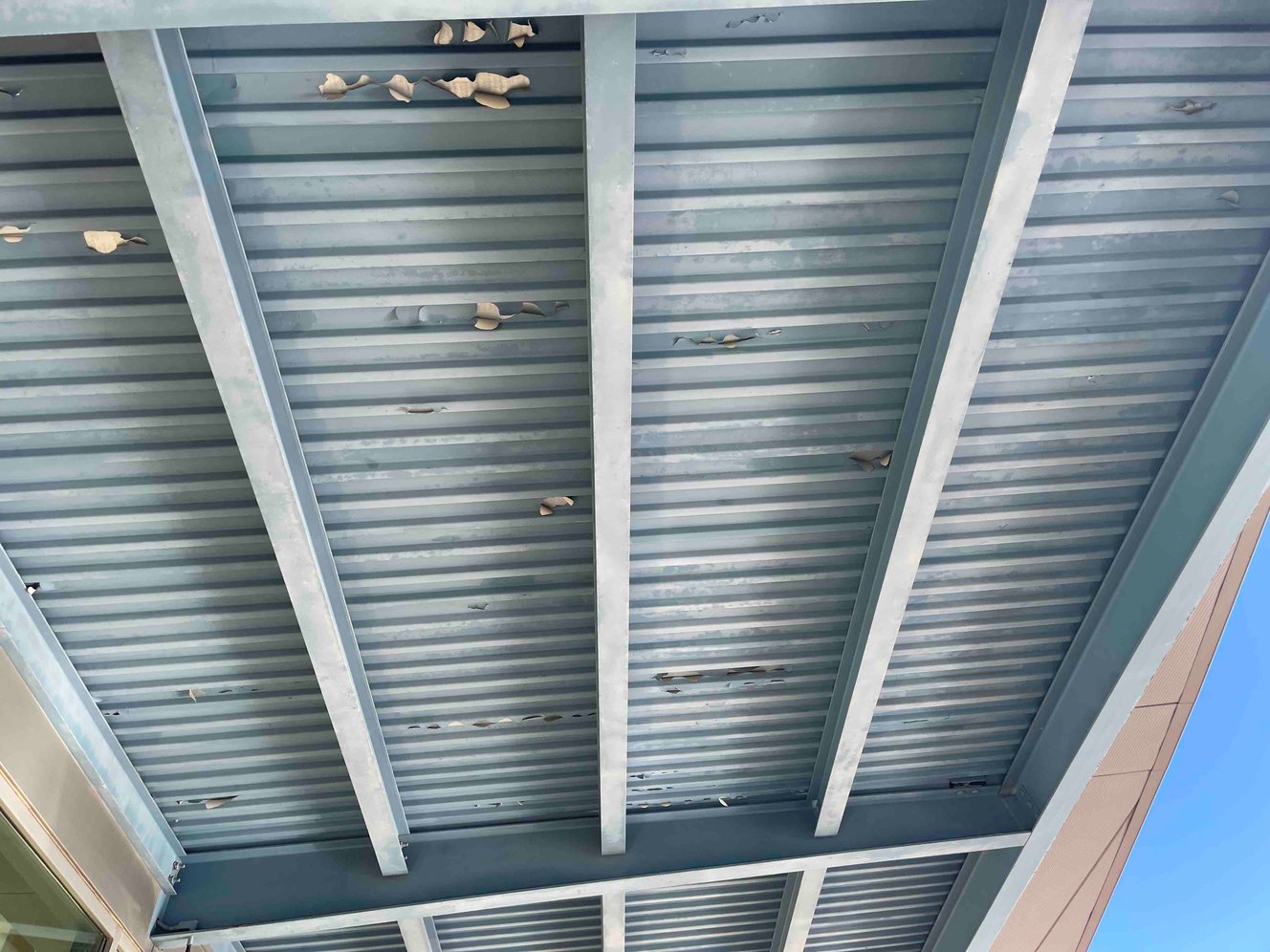 Can galvanized steel be coated? Be careful if it is passivated or unaged..