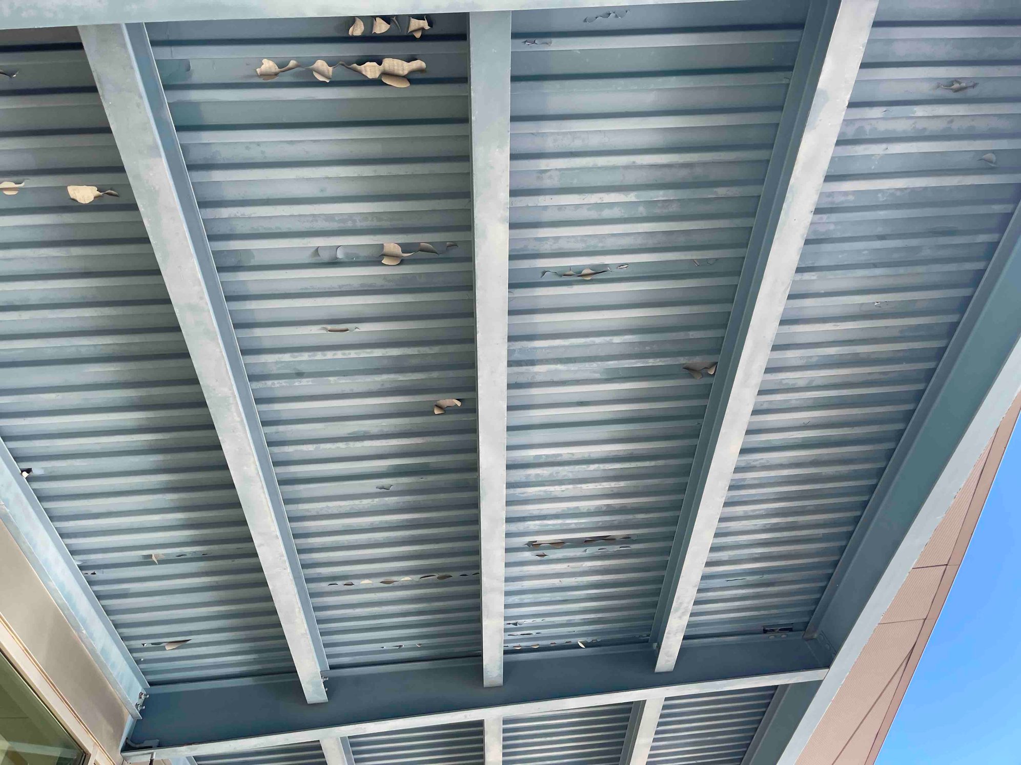 Can galvanized steel be coated? Be careful if it is passivated or unaged..