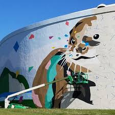 Winston Salem Otter Tank 3