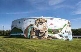 Winston Salem Otter Tank