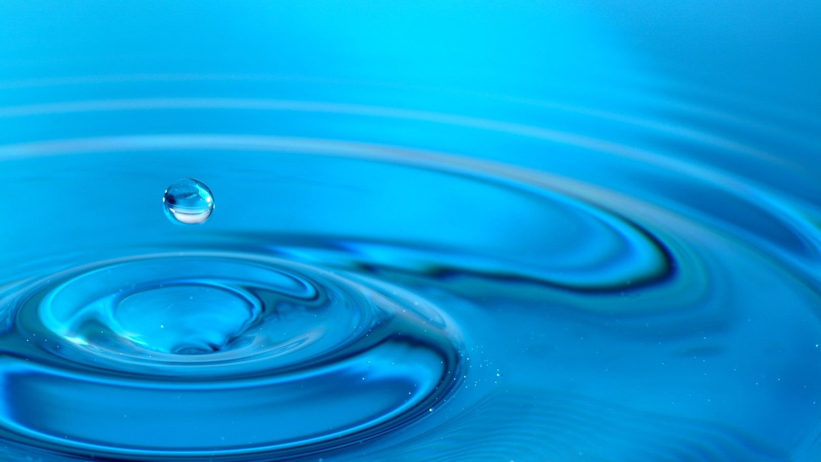 <span id="hs_cos_wrapper_name" class="hs_cos_wrapper hs_cos_wrapper_meta_field hs_cos_wrapper_type_text" style="" data-hs-cos-general-type="meta_field" data-hs-cos-type="text" >Water-Based vs. Solvent-Based Topcoats: An Honest Comparison</span>