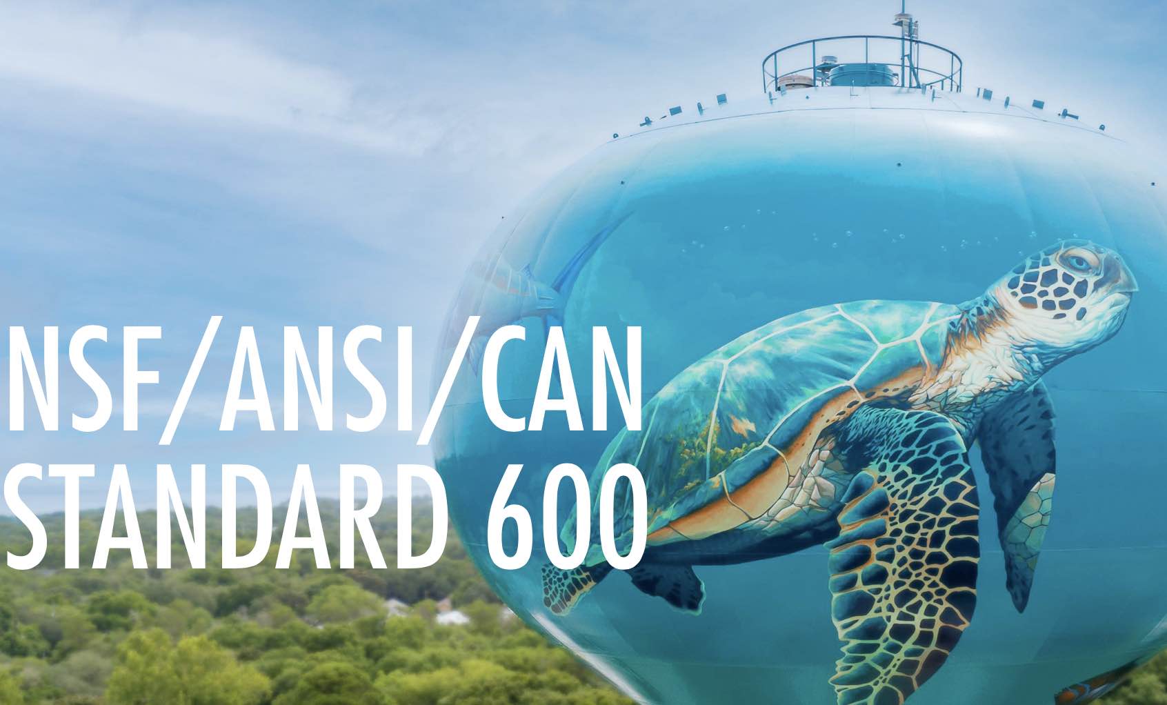 What Is NSF ANSI CAN 600 Let s Revisit What Is NSF ANSI CAN 600 Let s Revisit